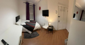 Beautiful Room minutes walk from Bethnal Green
